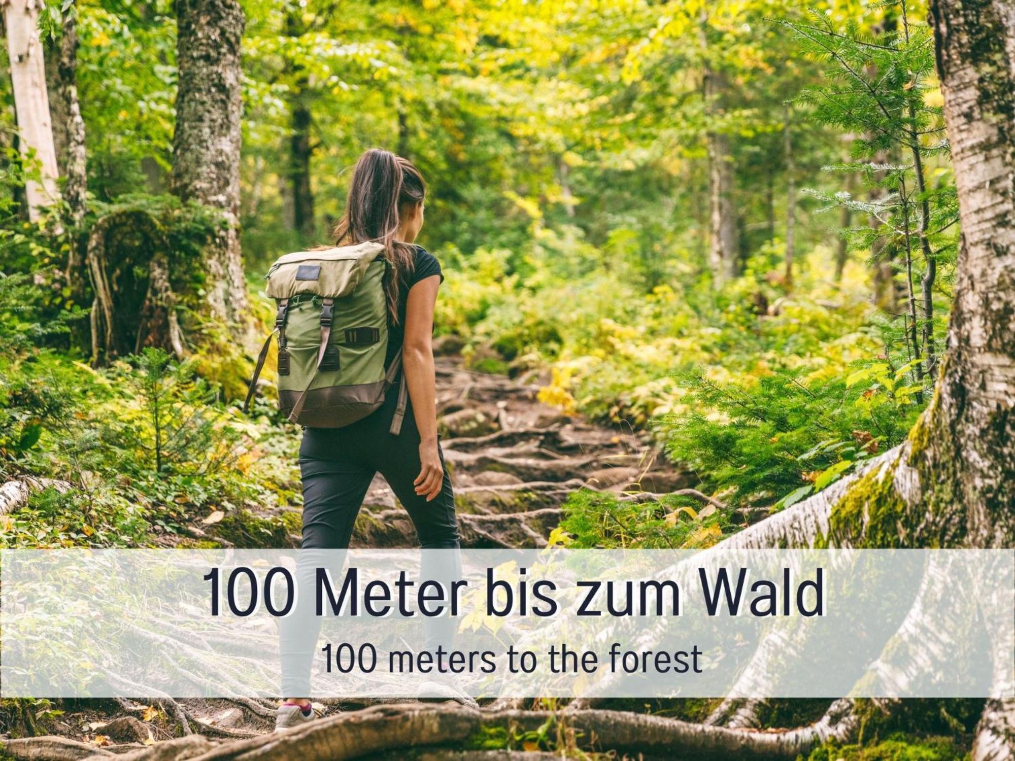 Traum Ferienhaus Burghalde Alpirsbach Buitenkant foto